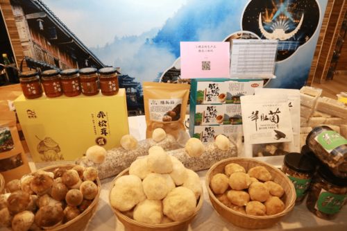 整合地域特色资源，开启新年消费帮扶农副产品新篇章