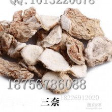 桂平市宝山农副产品加工厂 专注优质竹笋、沙姜与凉粉草加工