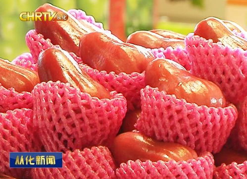 京东中国特产·从化馆盛大开幕，优质农副产品添新销售渠道