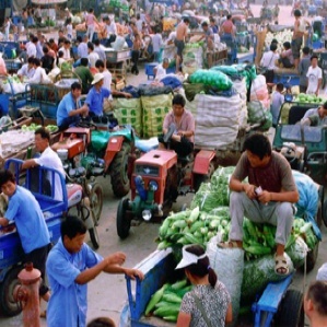 上海浦南农副产品批发市场 都市的“绿色心脏”与百姓的“菜篮子”
