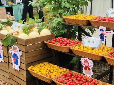 品蔬果、钓龙虾…玩转四季嘉年华 桐乡乡村振兴的田园交响曲