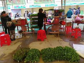 两祁农副特产展销会今日开幕，五十余家企业携名优土特产齐聚一堂