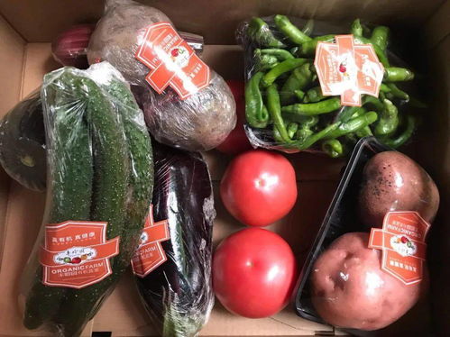 消费扶贫泾阳在行动 特色农副产品展销会亮相西安城