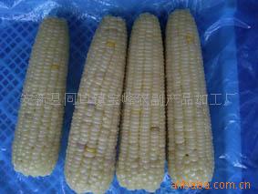 安新县同口镇宝峰农副产品加工厂 助力乡村产业振兴的实践者