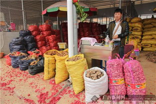 南宁市仁义农副产品批发市场盛大开业 助力区域“菜篮子”工程建设