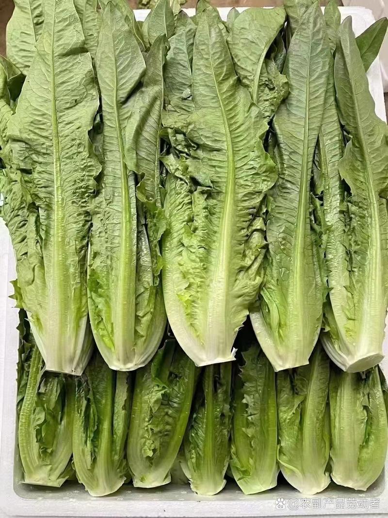 携手共进，品味原生态——优质农副产品合作邀请
