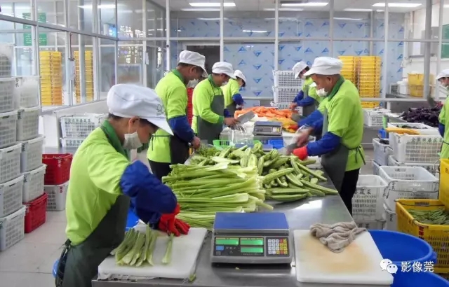 莞港记忆 农副产品镜头中的时光印记